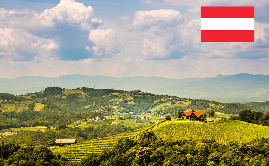 Licencia de conducir internacional en Austria