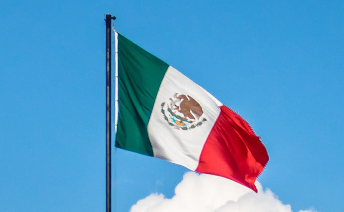 ¿Puedo conducir en México con un permiso de EE.UU.? Guía completa para viajeros internacionales