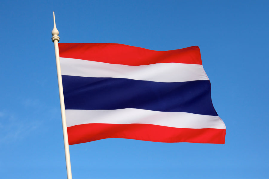 Cómo sacarse el carné de conducir en Tailandia